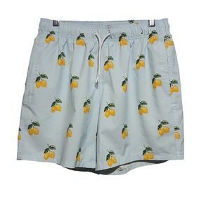 Hollister‎ Mens Swim Trunks Shorts Light Blue Lemon Print Size M 4 Way Stretch